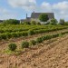 Pépinières du Val d'Erdre 44 - Communication & Catalogue thumbnail