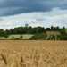 Pépinières du Val d'Erdre 44 - Communication & Catalogue thumbnail